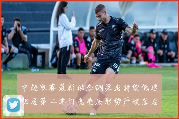 中超联赛最新动态铜梁龙持续低迷仍居第二津门虎垫底形势严峻落后安全区九分