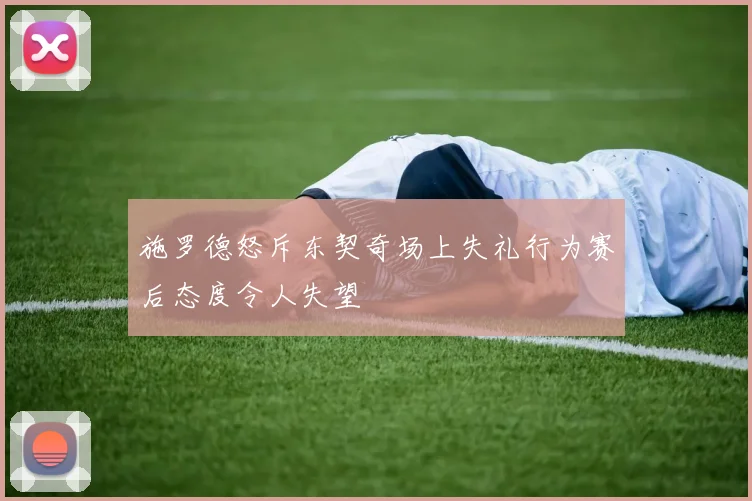 施罗德怒斥东契奇场上失礼行为赛后态度令人失望