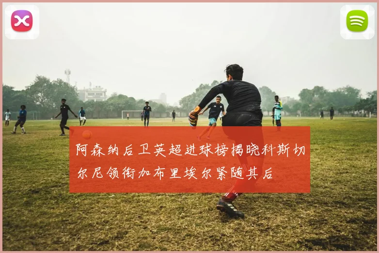 阿森纳后卫英超进球榜揭晓科斯切尔尼领衔加布里埃尔紧随其后