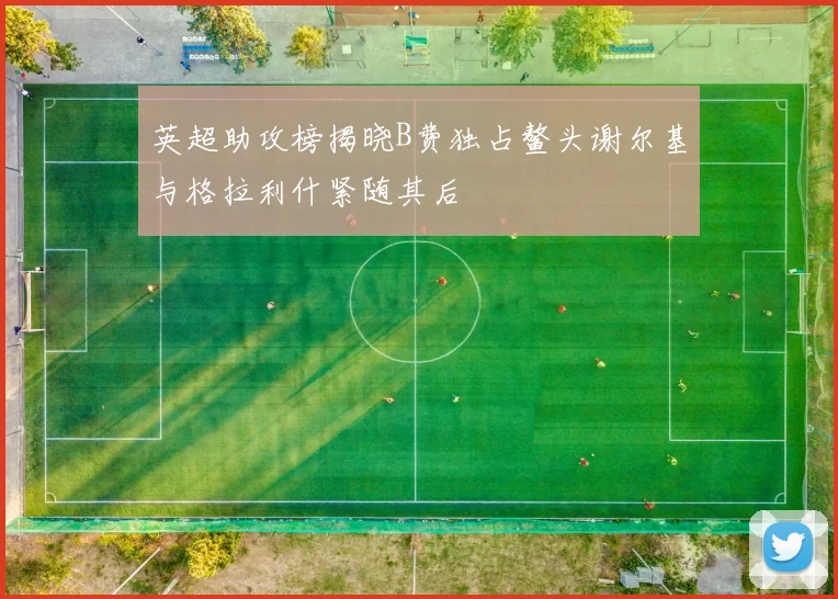 英超助攻榜揭晓B费独占鳌头谢尔基与格拉利什紧随其后